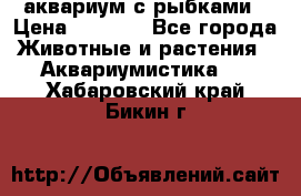 аквариум с рыбками › Цена ­ 1 000 - Все города Животные и растения » Аквариумистика   . Хабаровский край,Бикин г.